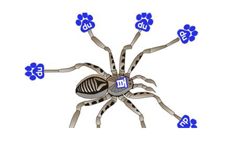 百度spider专家现场QA集锦:抓取建库篇